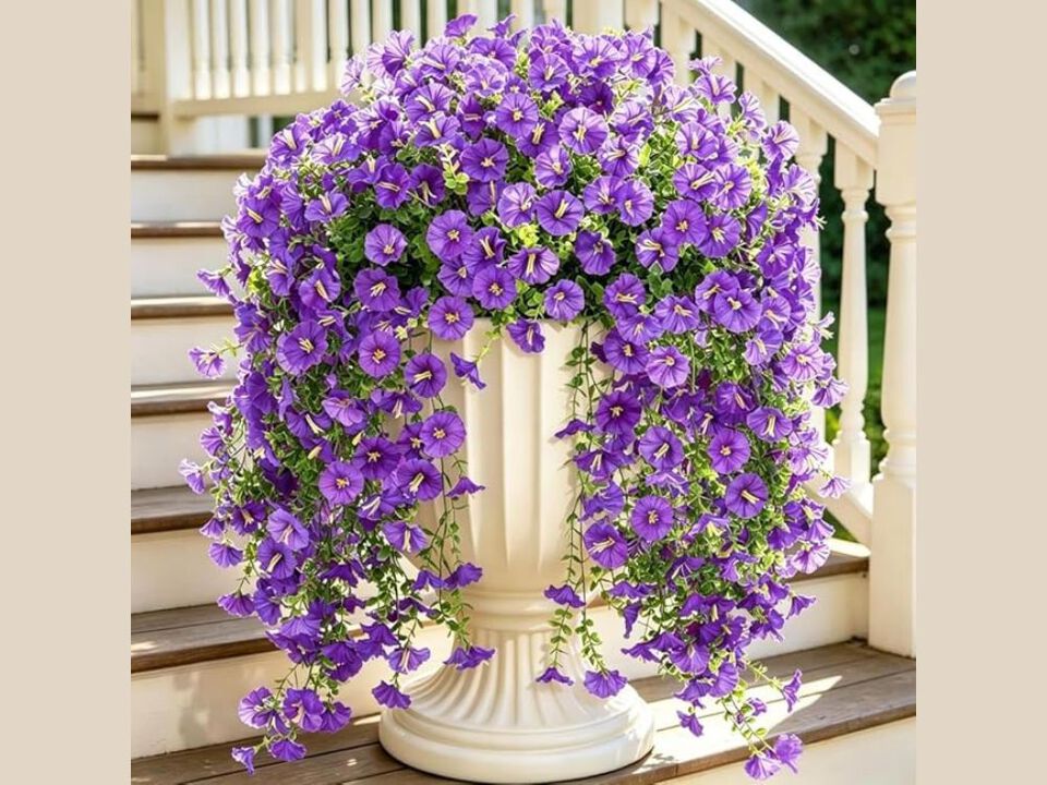 4 Piece Purple Artificial Hanging Morning Glory Flowers UV Resistant Outdoor
