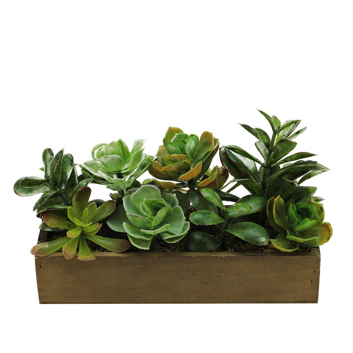 11.5" Artificial Mixed Succulent Plants in a Wooden Planter Box
