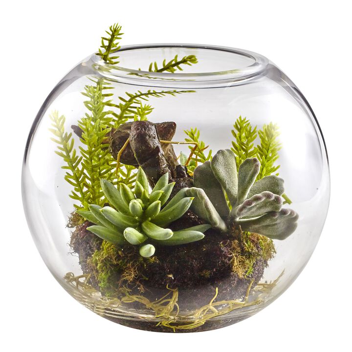 HomPlanti Mix Succulent Garden with Glass Vase