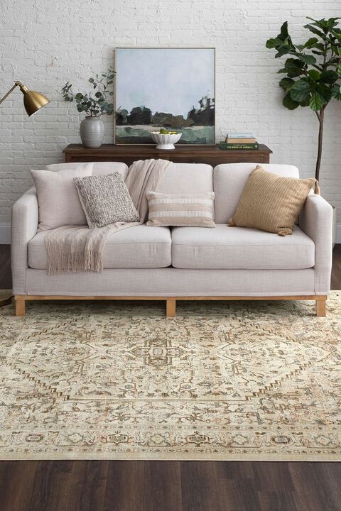 Divina Exalted Grey 6'6" x 9'6" Rug