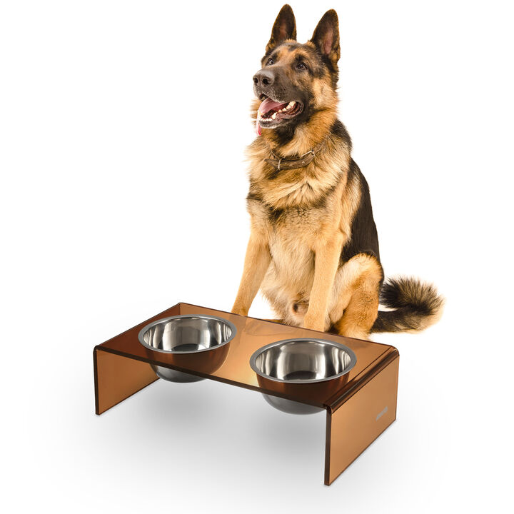 Keaton Modern Acrylic Rectangular Elevated Pet Feeder with Stainless Steel Bowls