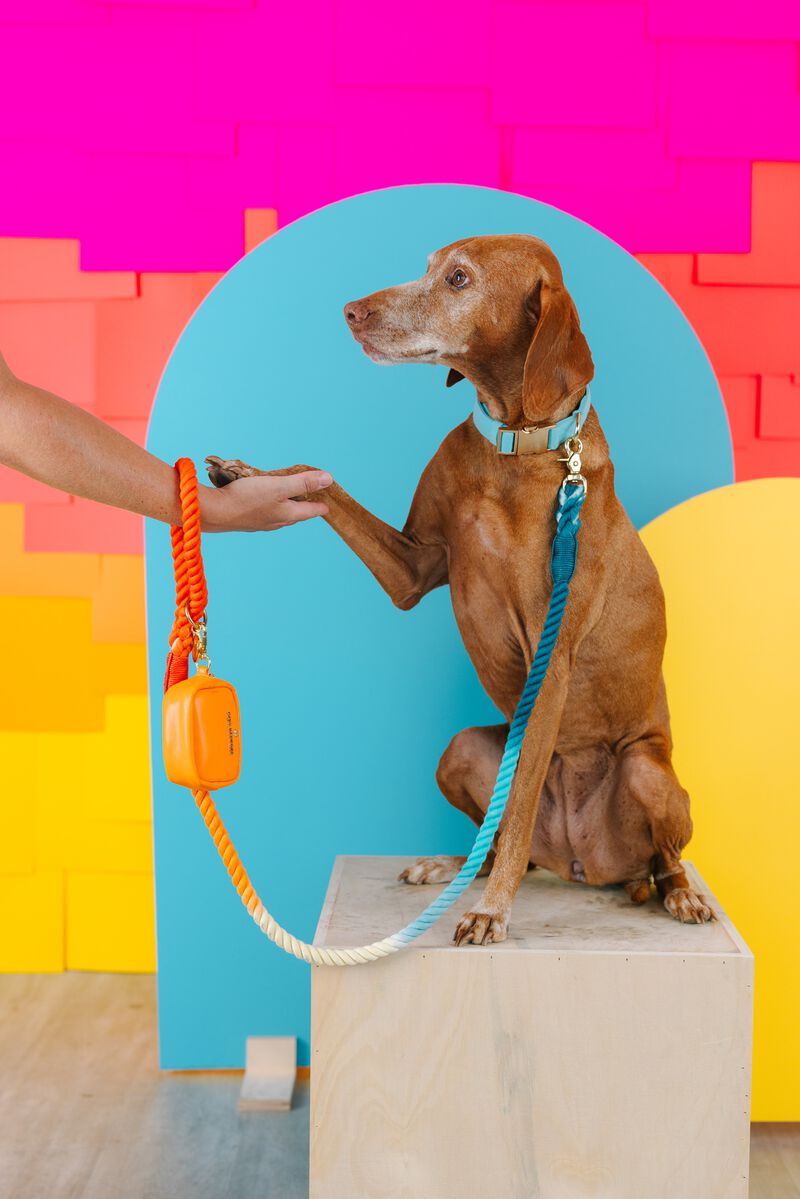 Beau Rope Dog Leash image number 3