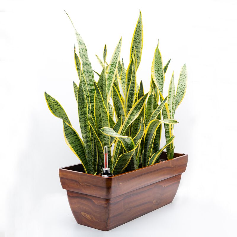7.8 in. Dark Wood Plastic Rectangle Self-watering Planter Pot image number 4