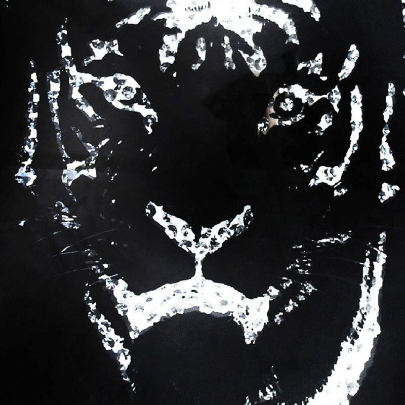 Rectangular Mirror framed Tiger Wall Decor With Crystal Inlays, Black & Silver image number 4
