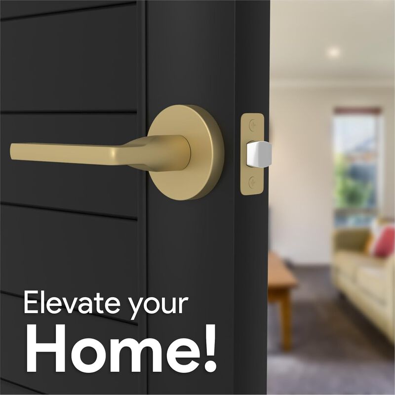 Mega Handles | Ralph Passage Lever