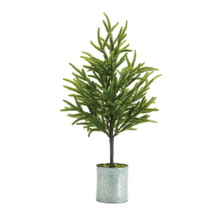 Mini Pine Tree Set of 2 in Pots for Christmas Mantel or Seasonal Accent Decor