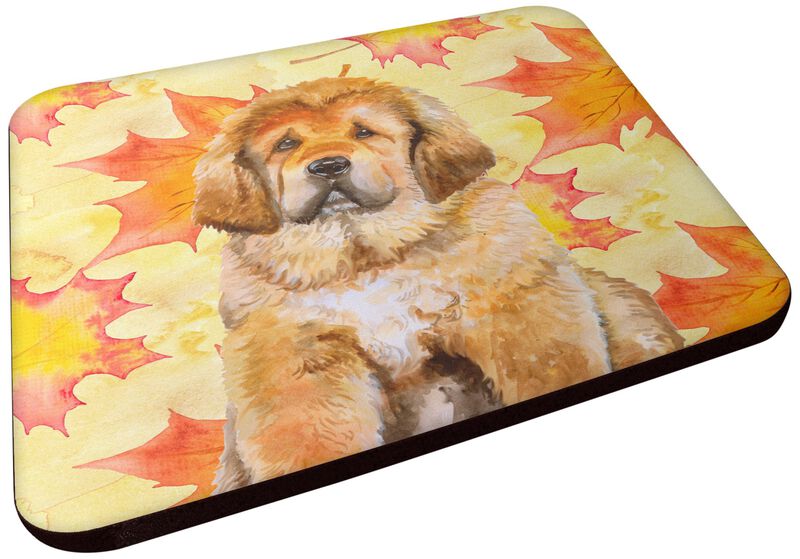 Caroline's Treasures Tibetan Mastiff Fall Decorative coasters, Multicolor