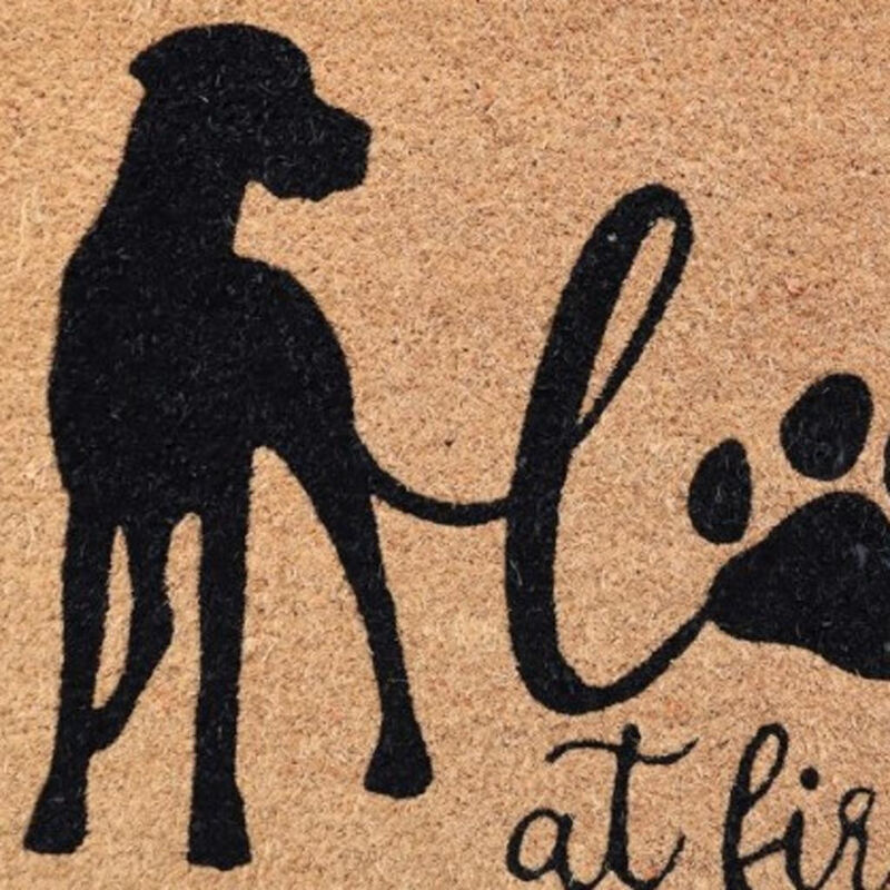 HomeRoots 18" X 30" Beige and Black Coir Dog Outdoor Door Mat image number 2