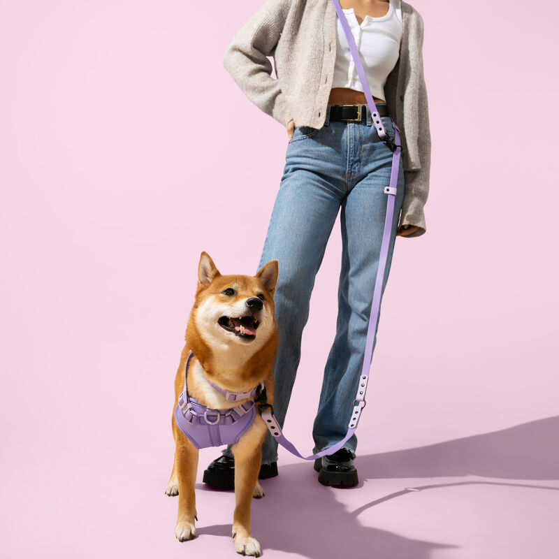 Luna Adjustable 6-in-1 Waterproof Hands-Free Leash and Collar with LED Flashlight