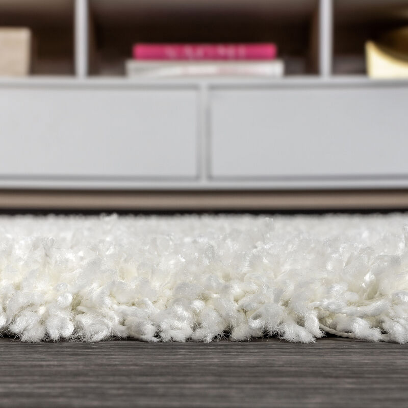 Mercer Shag Plush Tassel Area Rug