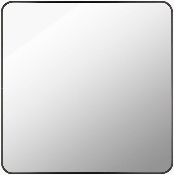 Aranya Accent Mirror