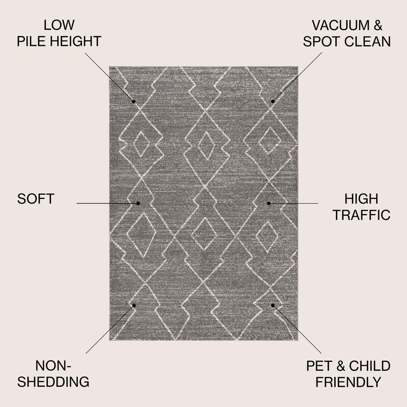 Alia Moroccan Beni Souk Area Rug