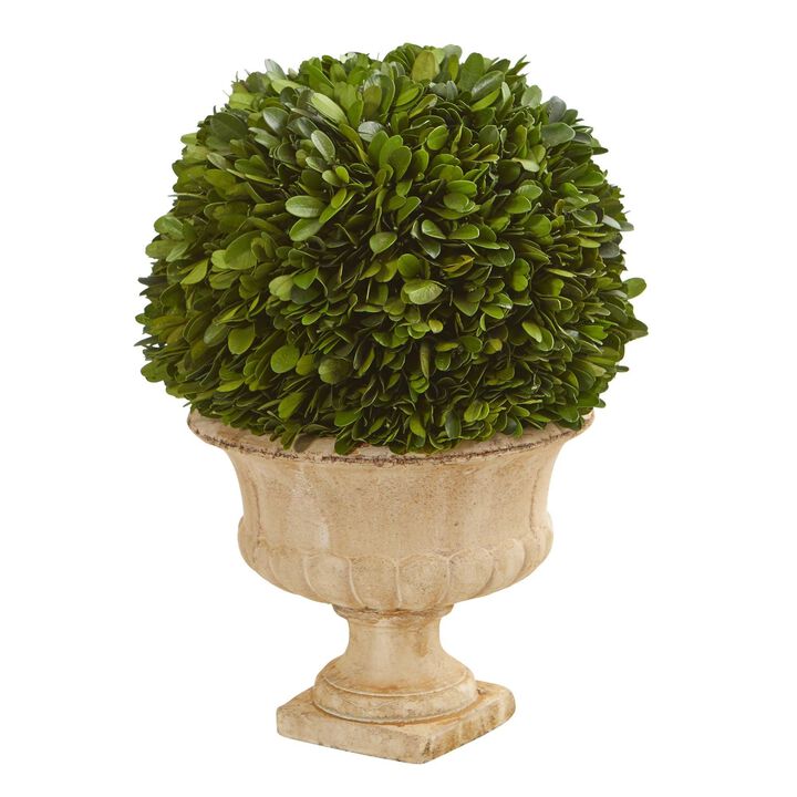 Nearly Natural 12-in Boxwood Topiary Ball Preserved Plant in Decorative Urn