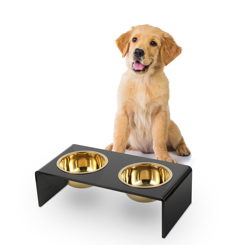 Keaton Modern Acrylic Rectangular Elevated Pet Feeder with Stainless Steel Bowls