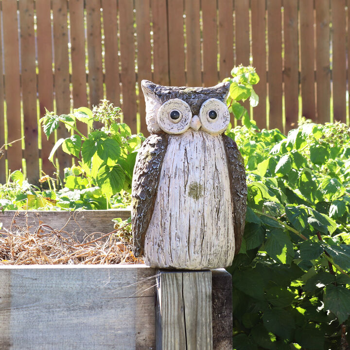 Sunnydaze Ophelia the Woodland Owl Indoor/Outdoor Statue - 13 in