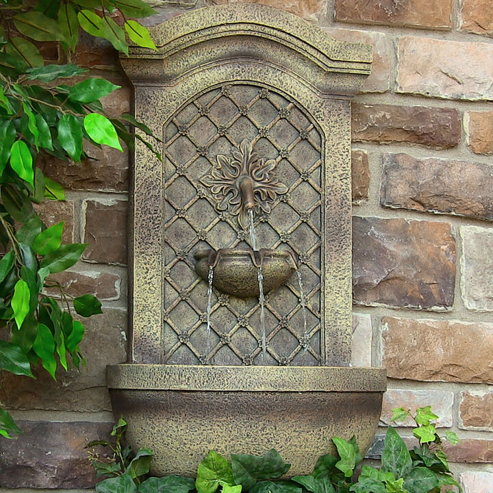 Sunnydaze Rosette Leaf Polystone Outdoor Wall Fountain