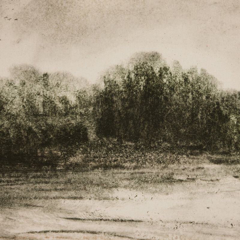 Meadow By Dan Hobday