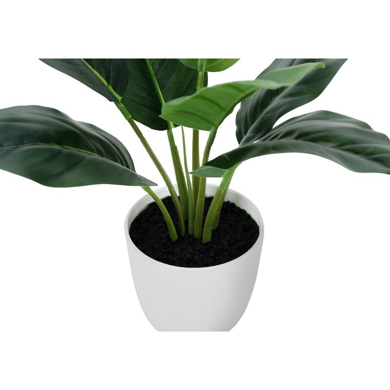 Monarch Specialties I 9502 - Artificial Plant, 17" Tall, Aureum, Indoor, Faux, Fake, Table, Greenery, Potted, Real Touch, Decorative, Green Leaves, White Pot image number 3