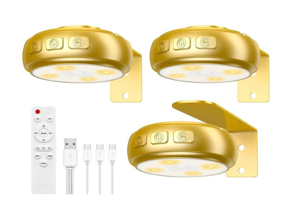 Picture Light Set of 3 Rechargeable LED Wall Lamp with Remote for Living Room