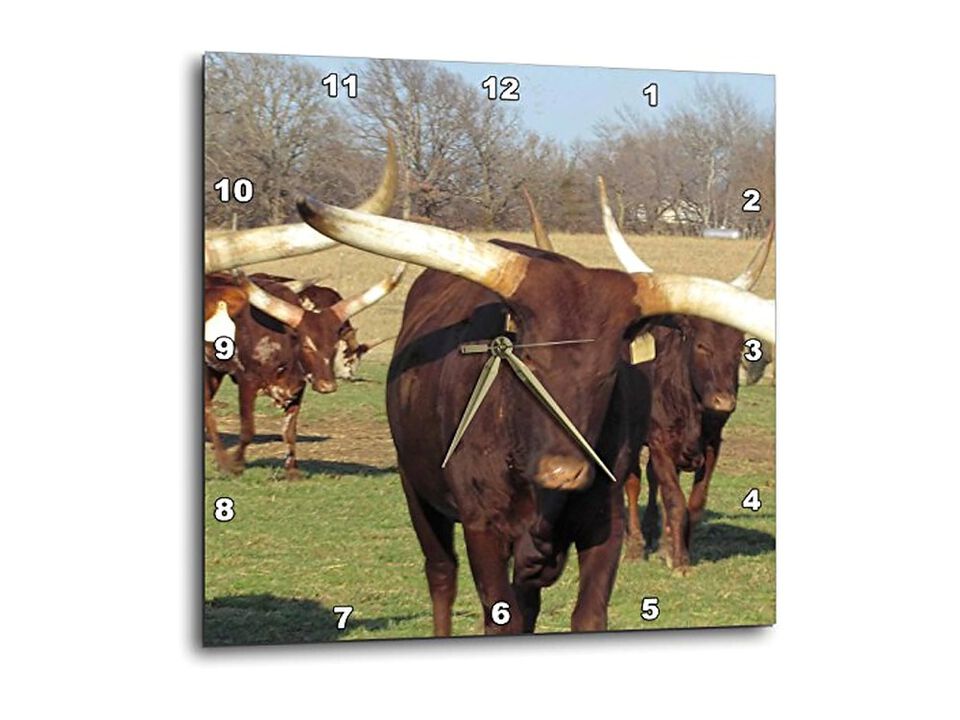 Texas Long Horns Herd Wall Clock 10 Inch Home Decor