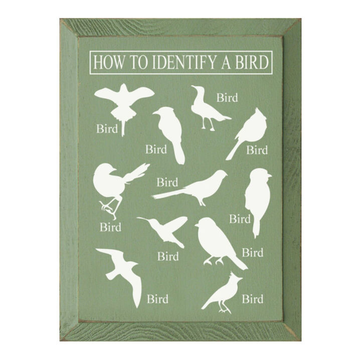 Bird Identification Chart Wall Decor From Solid Knotty Pine