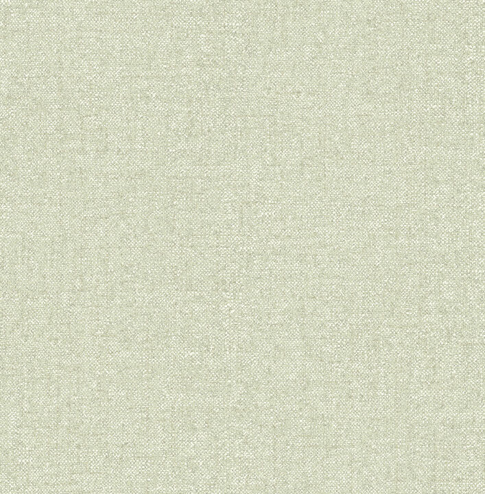 Kameez Green Texture Wallpaper (Set of 2)