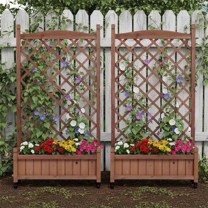 2 Pack Raised Garden Bed with Trellis, Outdoor Wooden Planter Box & Plant Stand with Climbing Racks