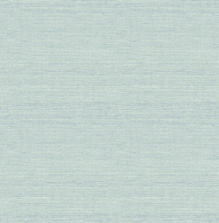 Agave Aqua Imitation Grasscloth Wallpaper (Set of 2)