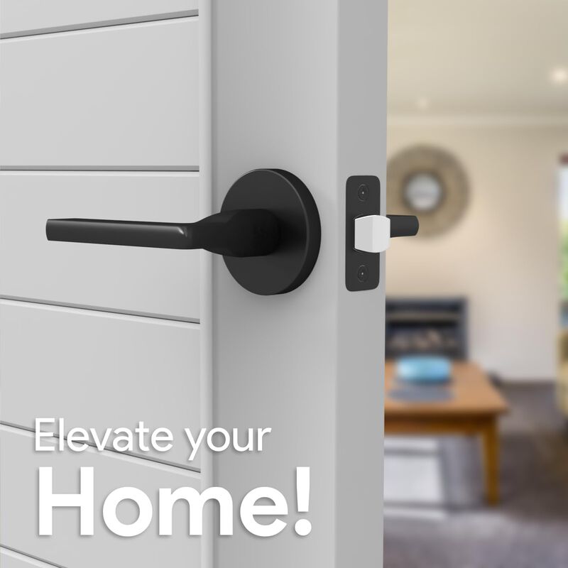 Mega Handles | Ralph Passage Lever