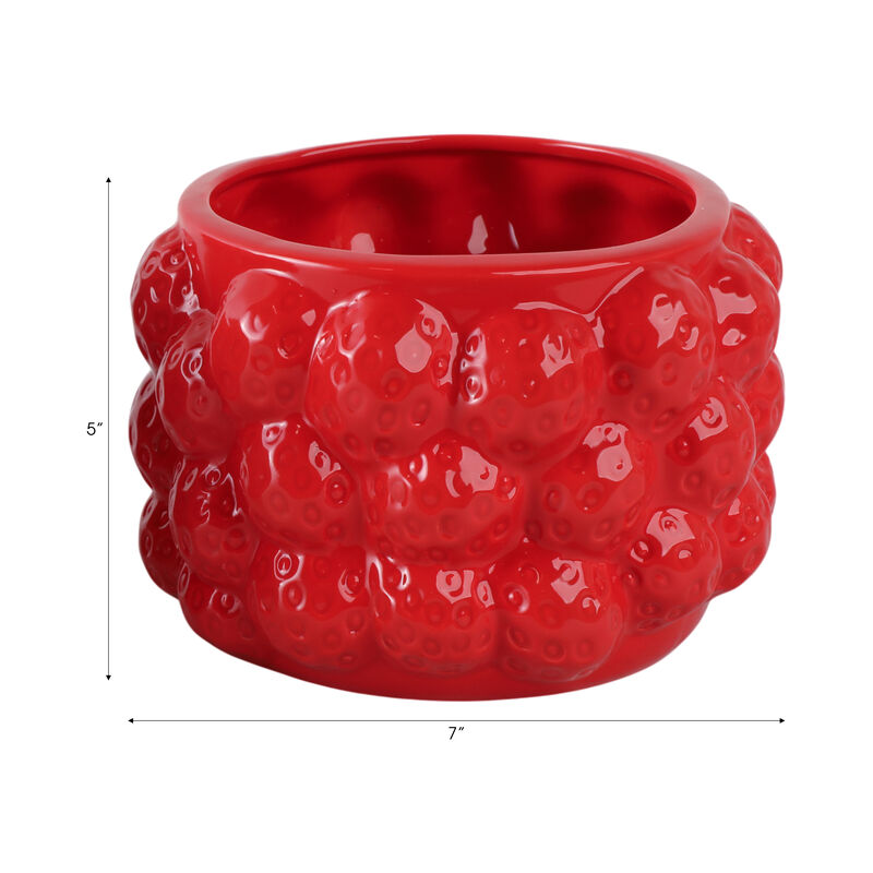 Strawberries Flower Pot