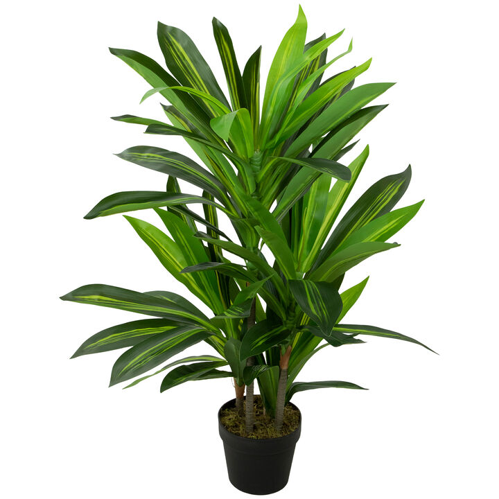 35" Green Artificial Dracaena Potted Plant