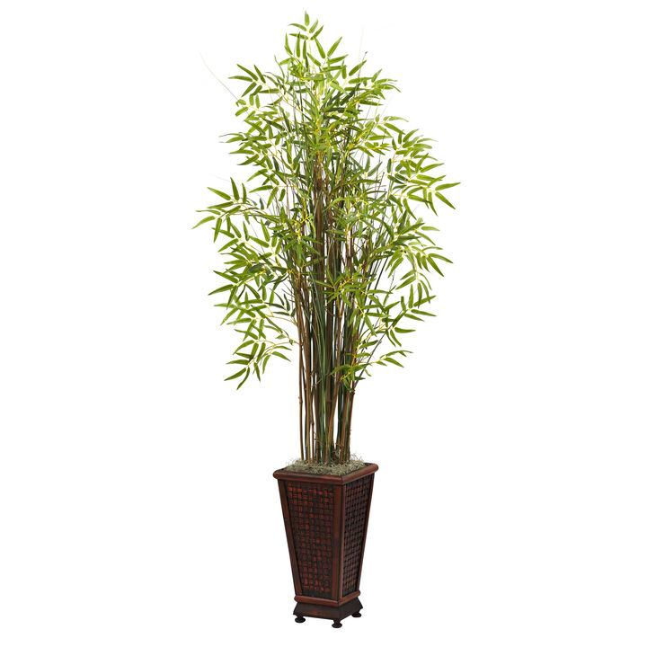 HomPlanti 5.5" Grass Bamboo Plant w/Decorative Planter
