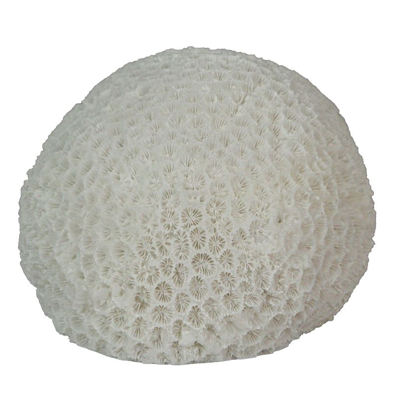 6" Resin LED Brain Coral Lamp - Nautical Decor image number 5