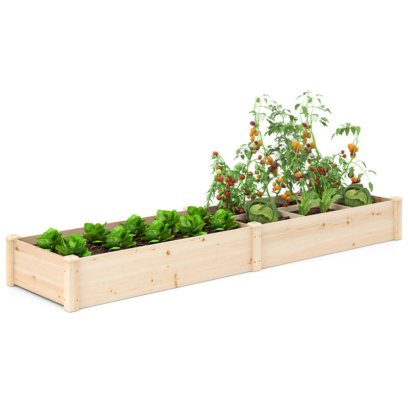 Raised Open-Ended Base Garden Bed with 2 Planter Boxes Divider