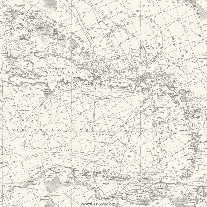 Charts Black Nautical Chart Wallpaper (Set of 2)