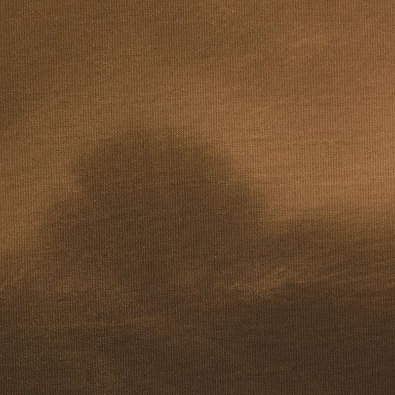 The Light By Chelsea Fly