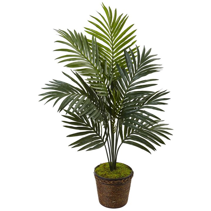 HomPlanti 4 Feet Kentia Palm Tree in Coiled Rope Planter
