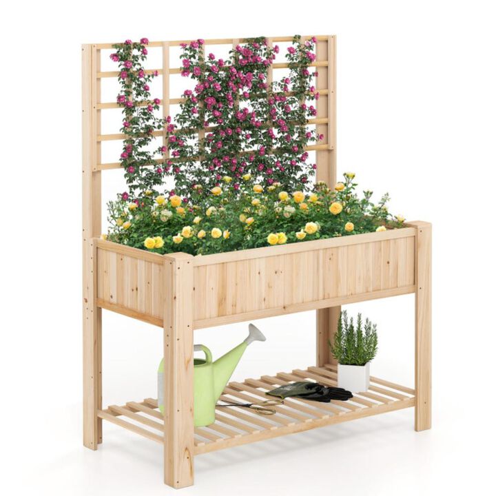 Hivvago Raised Garden Bed with Trellis Wooden Elevated Planter Box with Legs