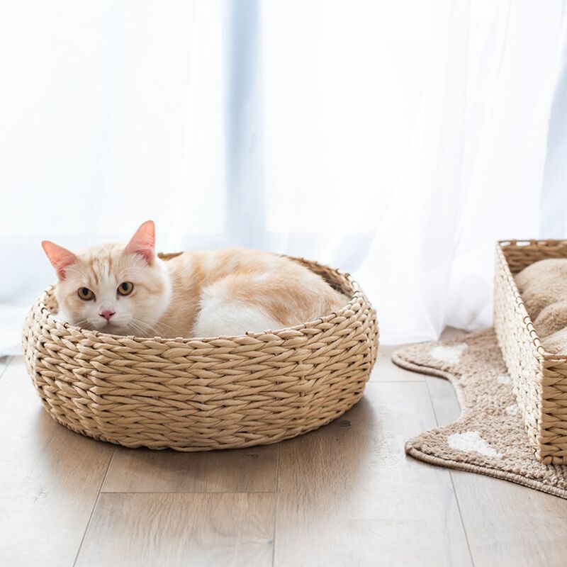 Petpals Paper Rope Wicker Design Round Cat Bed