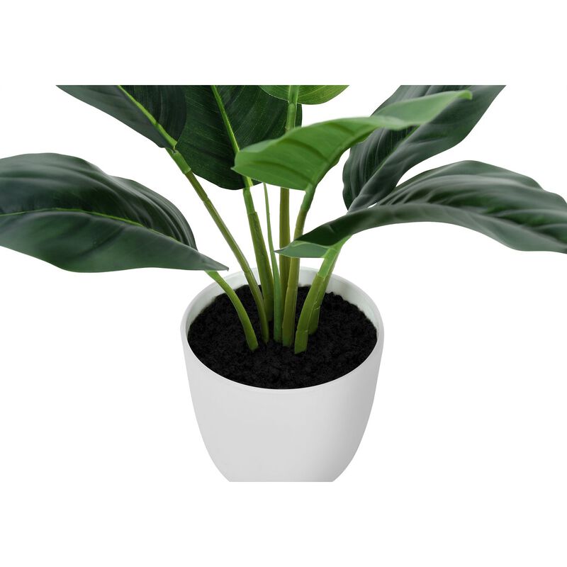 Monarch Specialties I 9502 - Artificial Plant, 17" Tall, Aureum, Indoor, Faux, Fake, Table, Greenery, Potted, Real Touch, Decorative, Green Leaves, White Pot image number 2