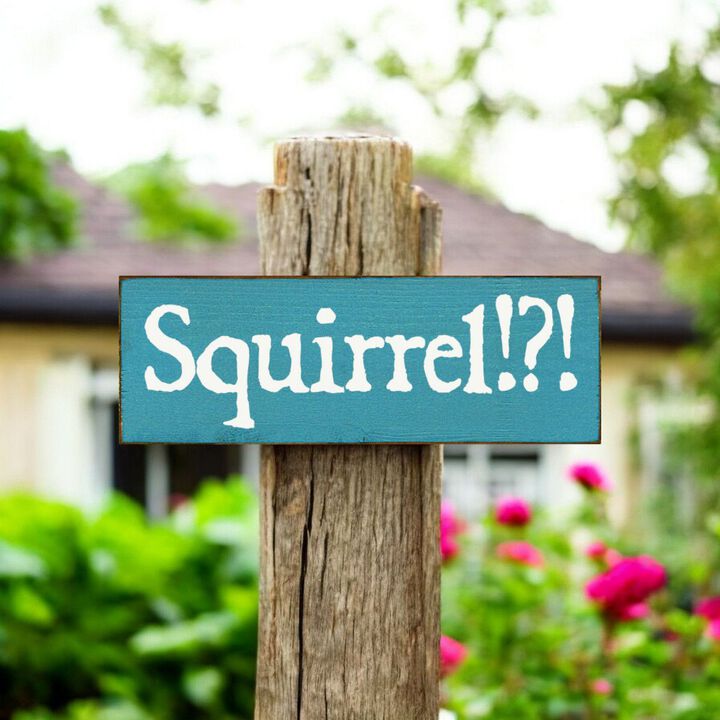 Squirrel Wood Sign Rustic Farmhouse Wall Decor for Living Room, Cabin or Entryway