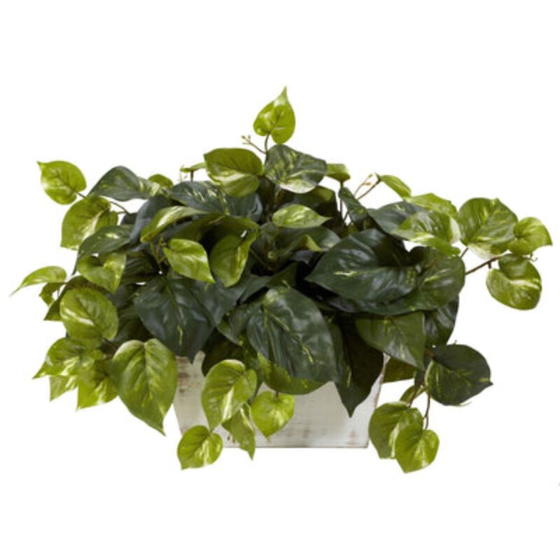 Hivvago Pothos w/White Wash Planter Silk Plant