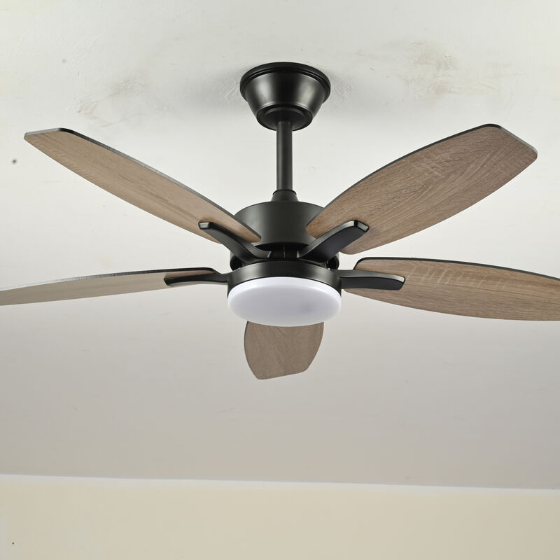 ELEMENT ACE 42 Inch 5 Plywood Blades Ceiling Fan with Lights and Remote Control, Quiet DC Motor 6 Speed Levels Reversible Fan for Indoor Living Room Bedroom Office Patio image number 5