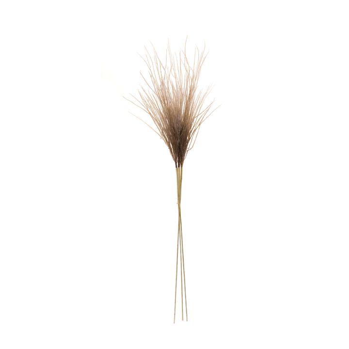 Set of 2 Grass Plume Bundles for Vases, Arrangements, or Shelf Styling