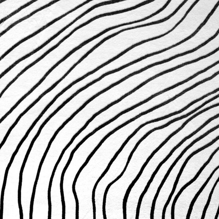 HomeRoots Abstract Area Rug