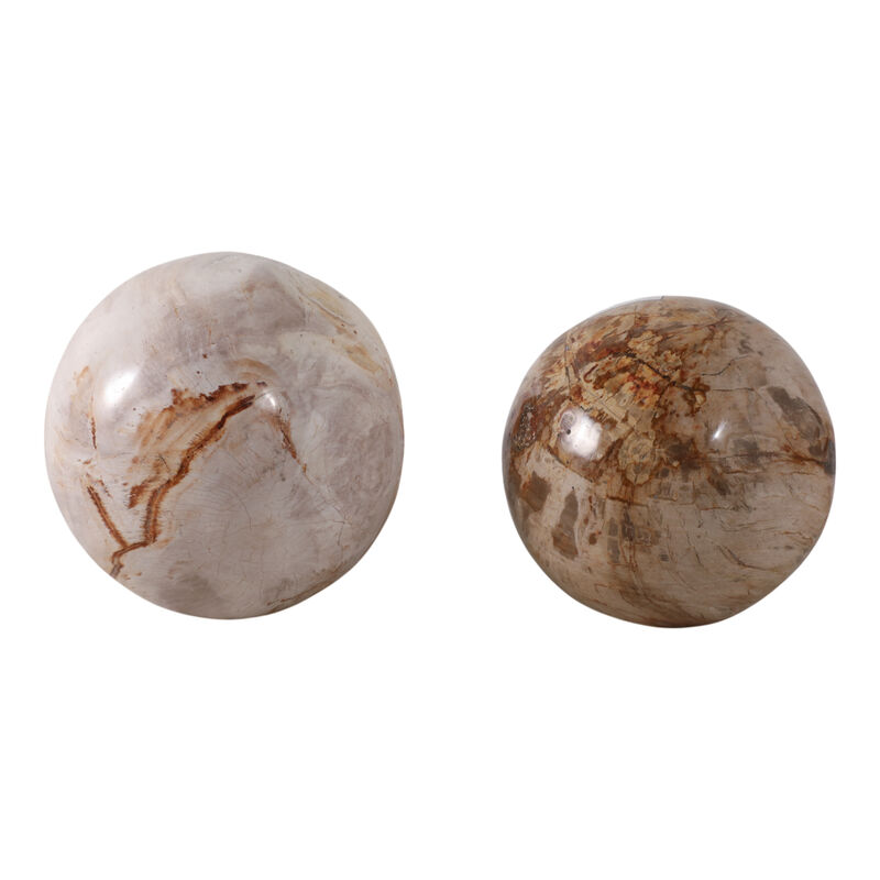 S/2 5/6" Petrified Wood Orbs, Ivory image number 3