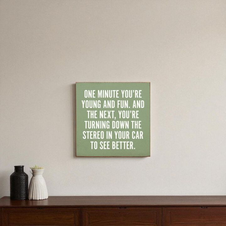 Funny Aging Quote Wood Sign One Minute You're Young and Fun Rustic Home Wall Decor