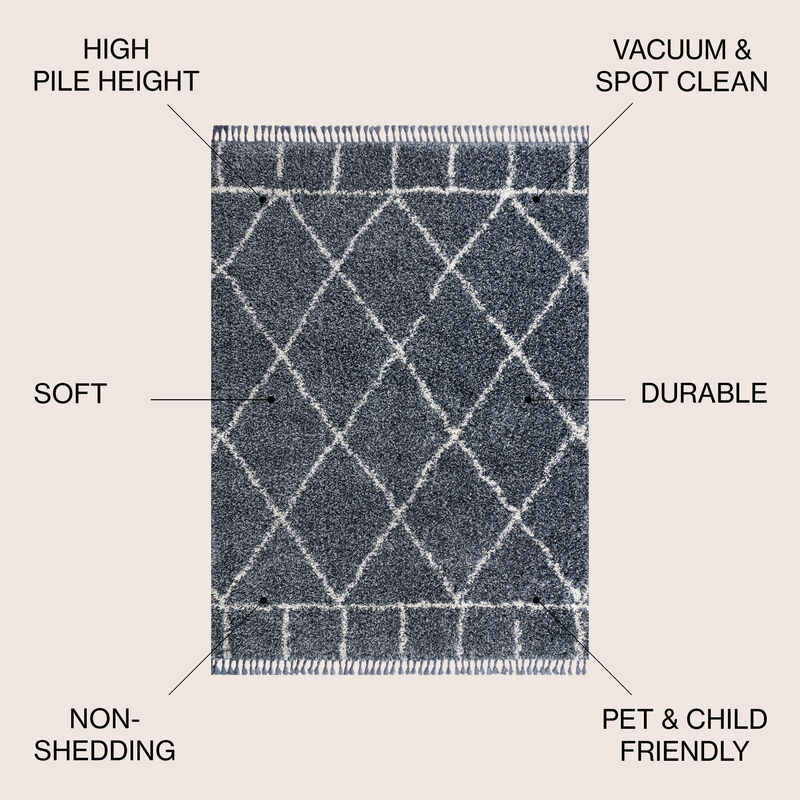 Mercer Shag Plush Tassel Moroccan Geometric Trellis Area Rug