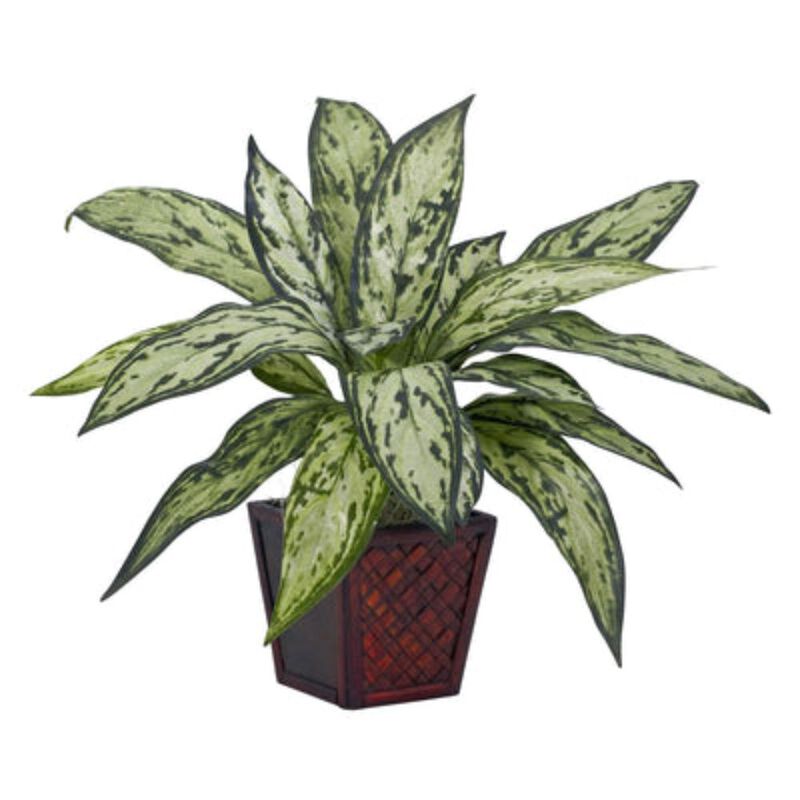 Hivvago Silver Queen Silk Plant (Set of 2)