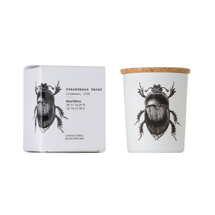 Candle in Jar INSECT 75gr SCARABEUS SACER 2.36 diam. x 2.95 in